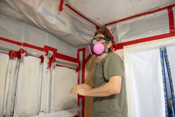 Best Asbestos and Lead Testing During Mold Inspection  in South Barre, VT