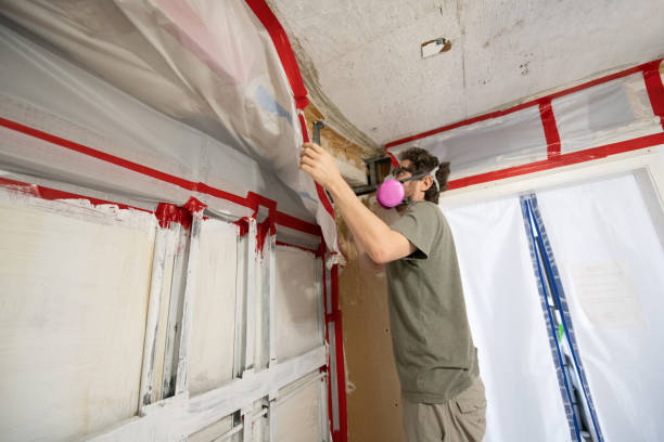 Best Airborne Mold Testing  in South Barre, VT