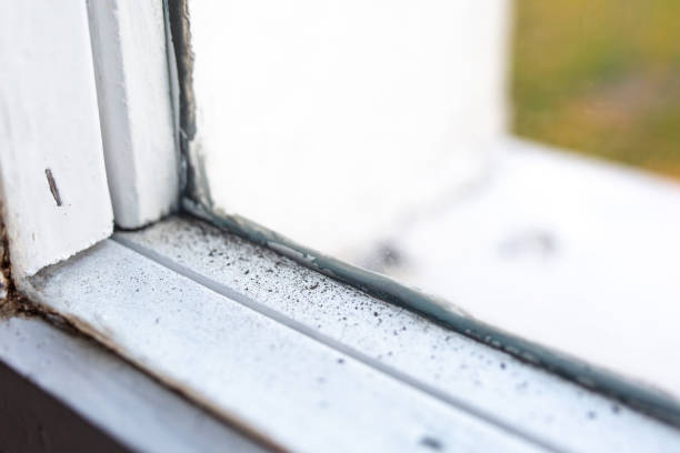 Mold Remediation for Rental Properties in South Barre, VT